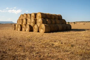balas de paja en gran angular
